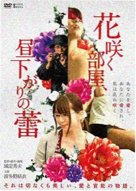城北老放映区胶片展柜与齿孔墙打卡点